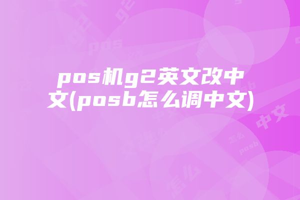 pos机g2英文改中文(posb怎么调中文)
