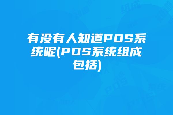 有没有人知道POS系统呢(POS系统组成包括)