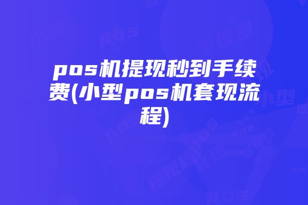 pos机提现秒到手续费(小型pos机套现流程)