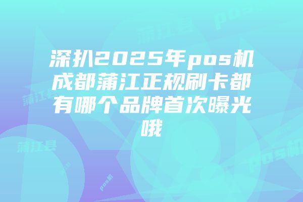 深扒2025年pos机成都蒲江正规刷卡都有哪个品牌首次曝光哦