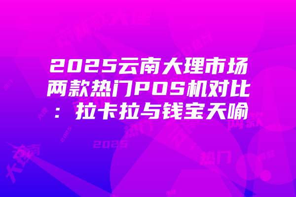 2025云南大理市场两款热门POS机对比：拉卡拉与钱宝天喻