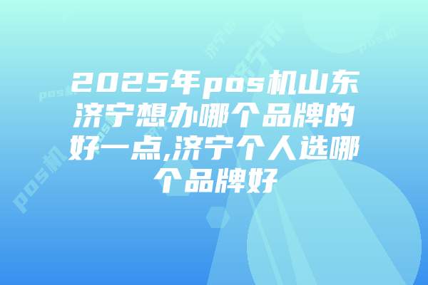 2025年pos机山东济宁想办哪个品牌的好一点,济宁个人选哪个品牌好